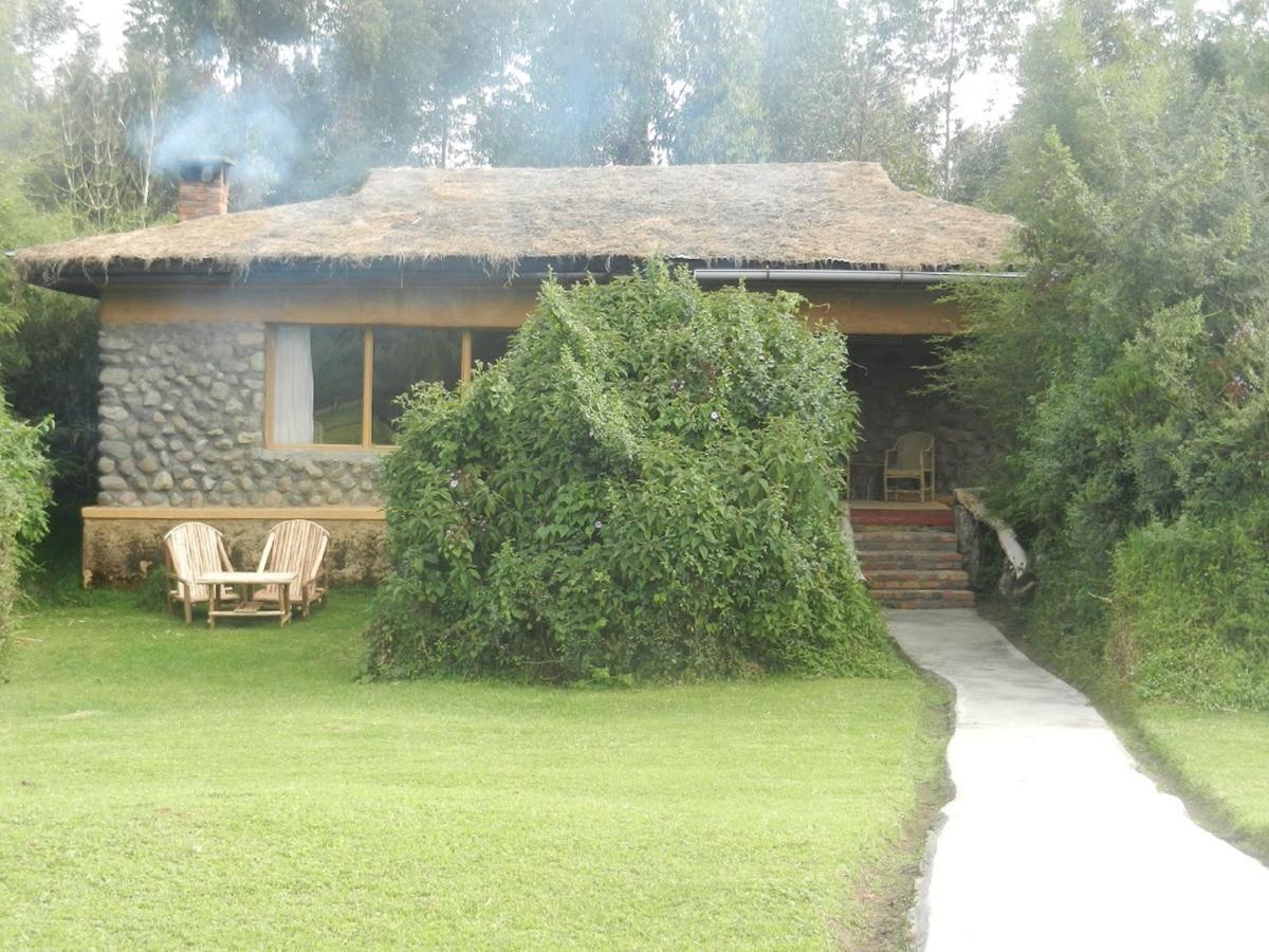 Mountain Gorilla View Lodge Musanze Exteriér fotografie